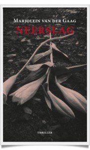 Cover Neerslag-framed